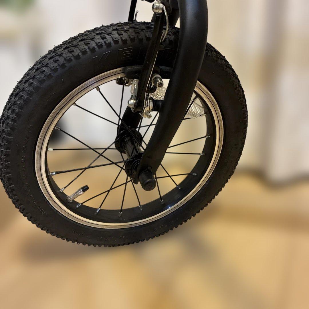 手渡し限定　Schecter 折りたたみ自転車 黒