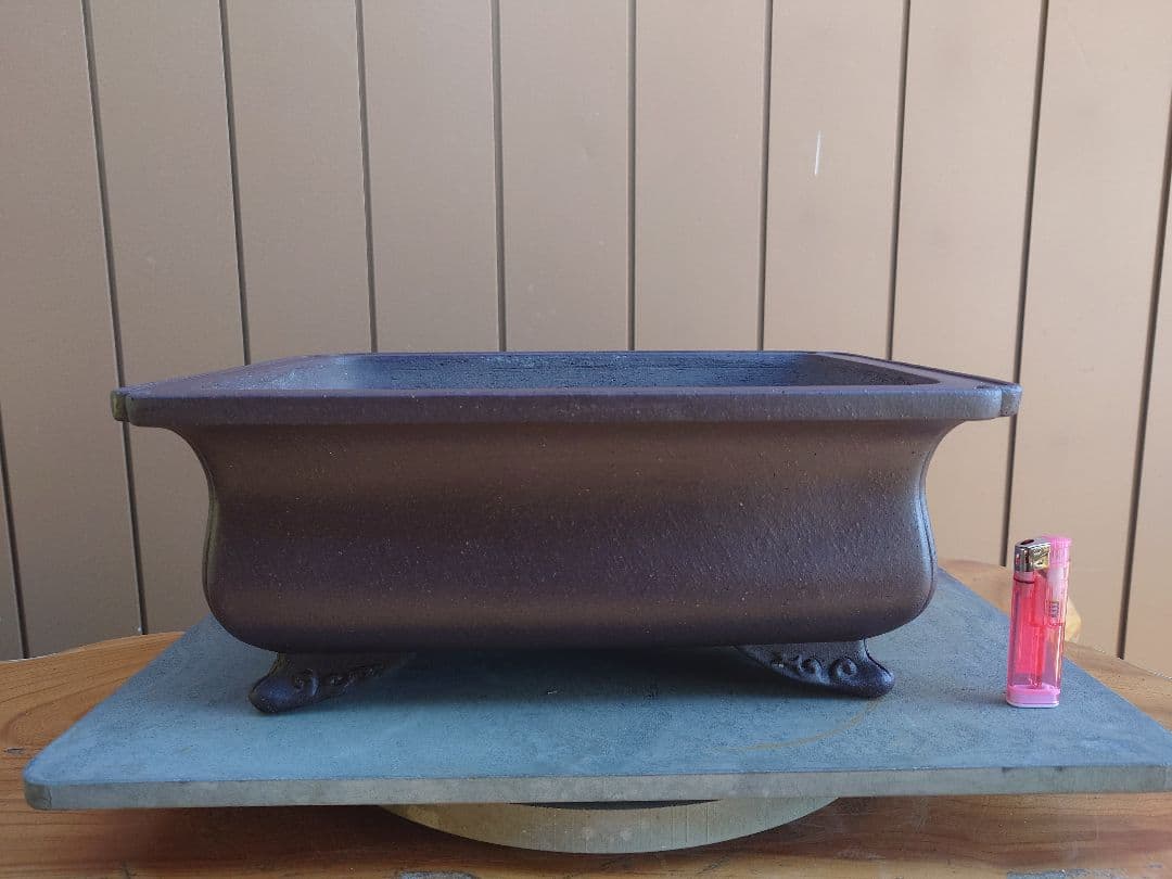 盆栽　鉢　十王堂松泉　幅39cm