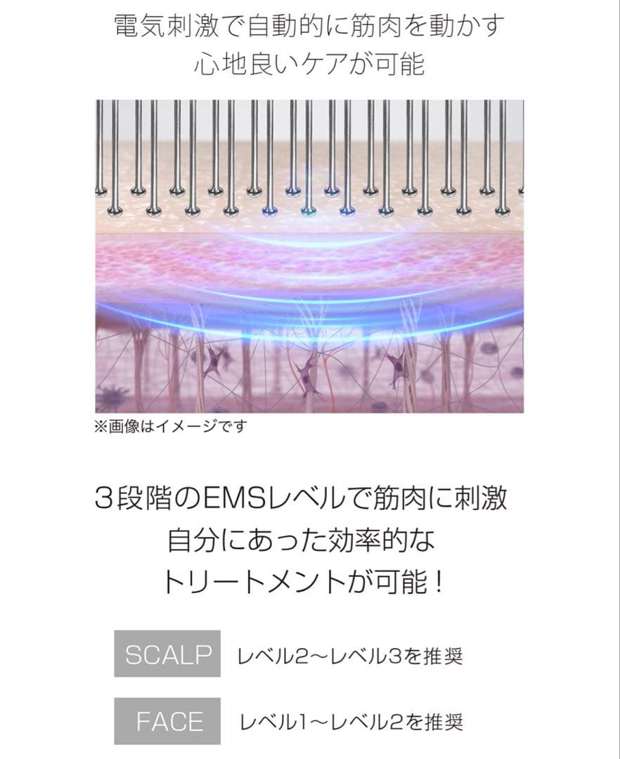 ELEBRU エレブラ 美顔器 ブラシ新品 未使用