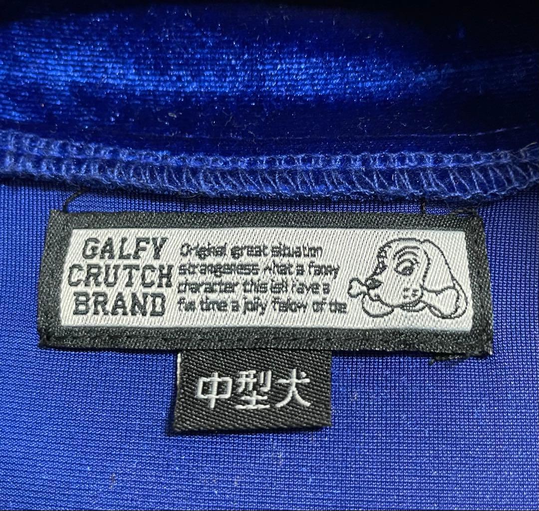 GALFY ガルフィー ピカピカ注射器 セットアップ　ブルー L