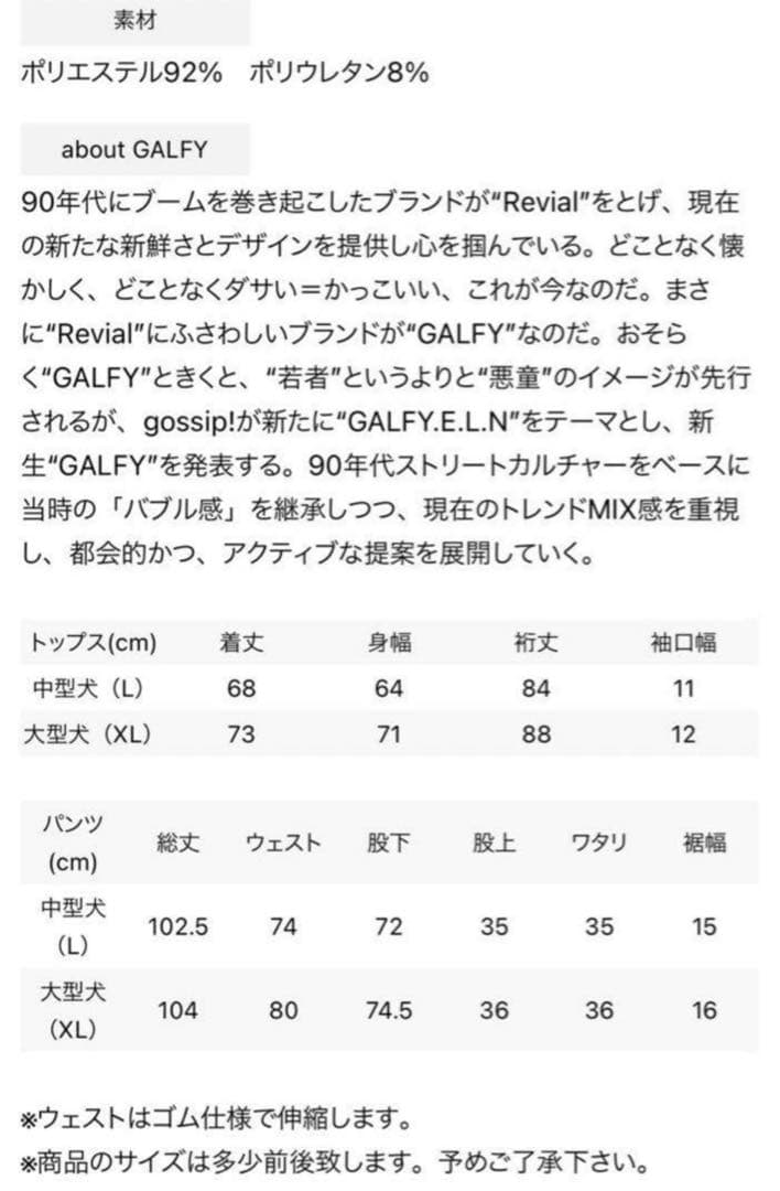 GALFY ガルフィー ピカピカ注射器 セットアップ　ブルー L