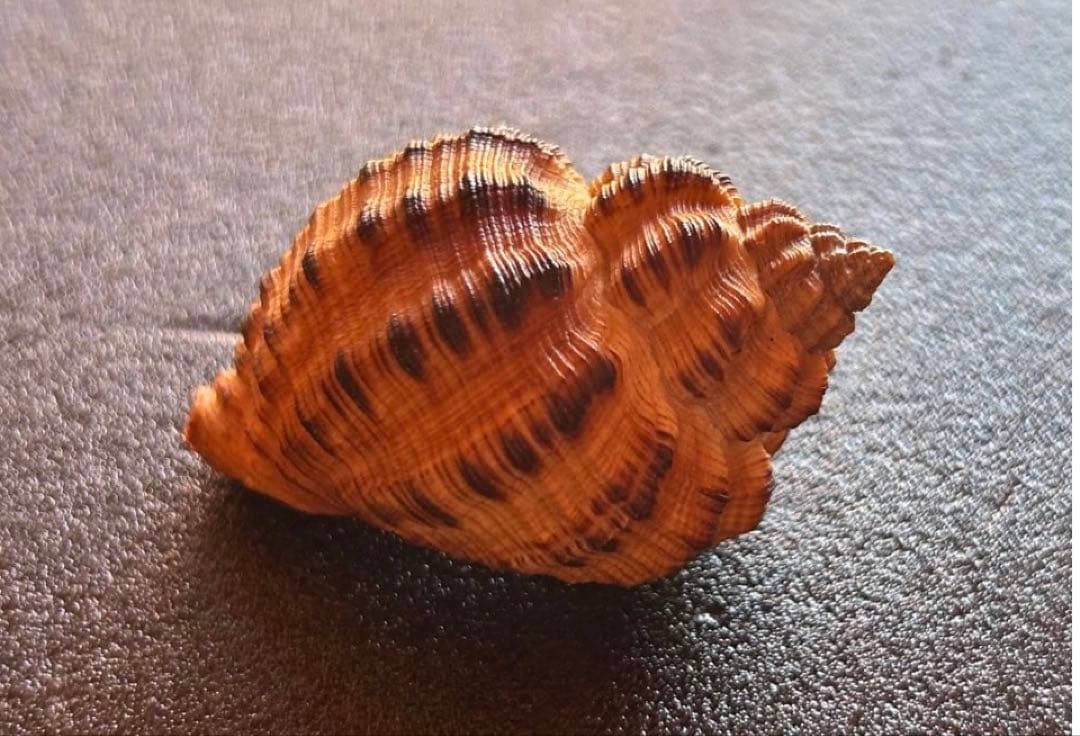 専用　まとめ11点