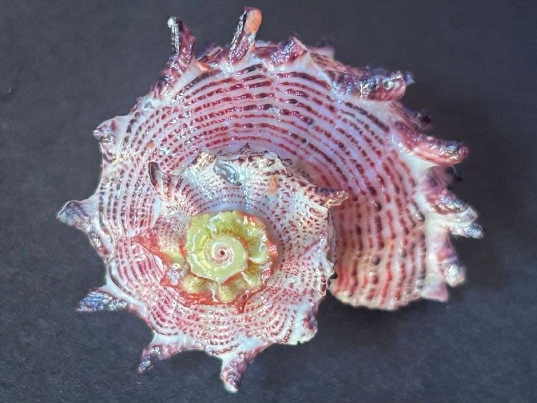 専用　まとめ11点