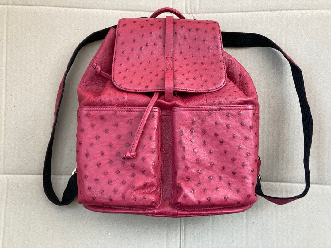リュック　オーストリッチ　美品