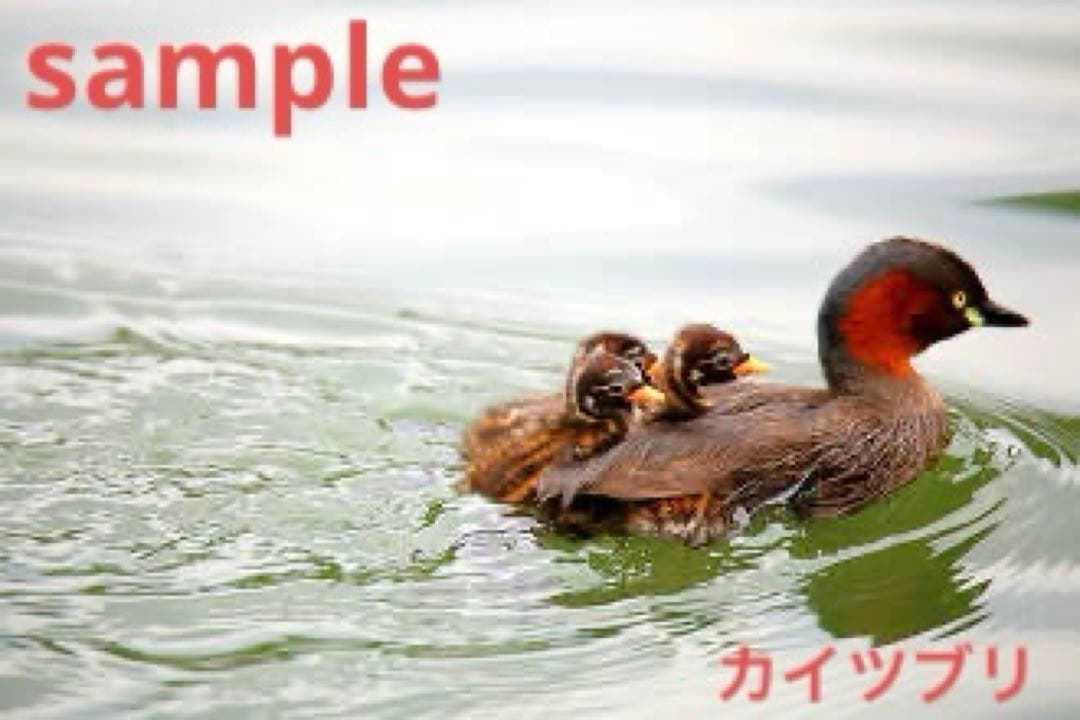 佐賀県廃絶郷土玩具 杵島山（きしまやま）一刀彫り・きゃつぐろC・新里真紗生 民藝