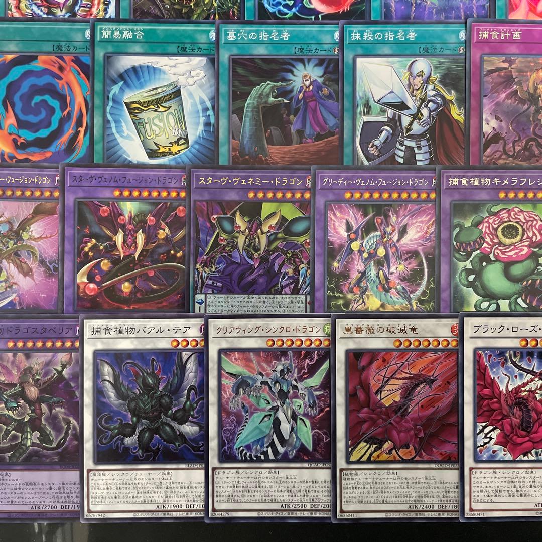 本格構築 捕食植物デッキ プレデタープランツデッキ 血樹竜姫ドラセリア