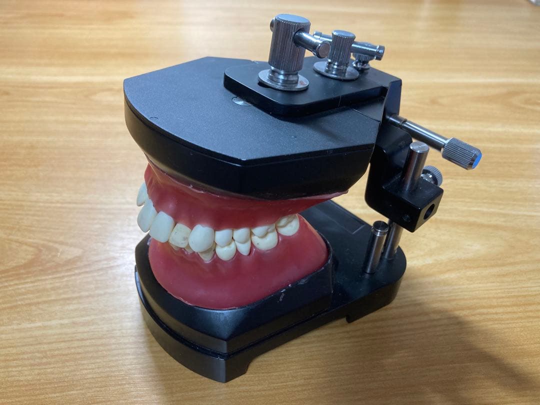 タイポドント咬合器&メタルティースセット　ロッキー（JMオーソ）型　中古