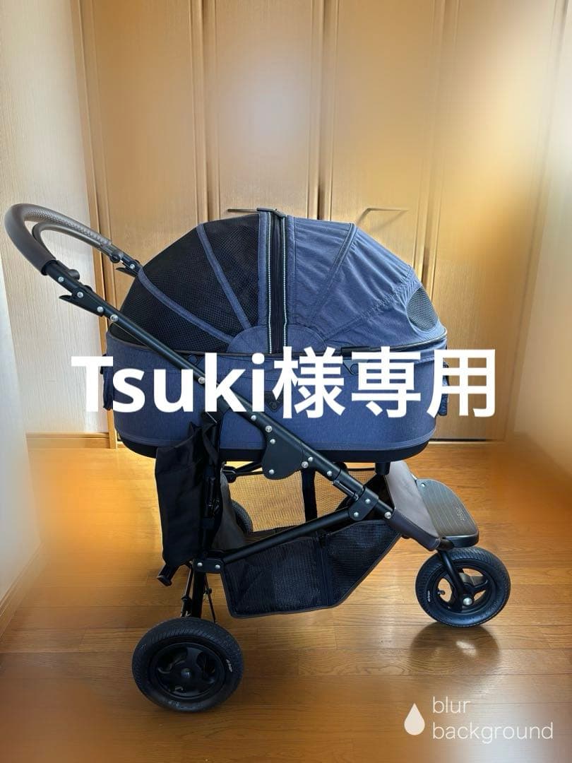 エアーバギードーム2Mブレーキモデル