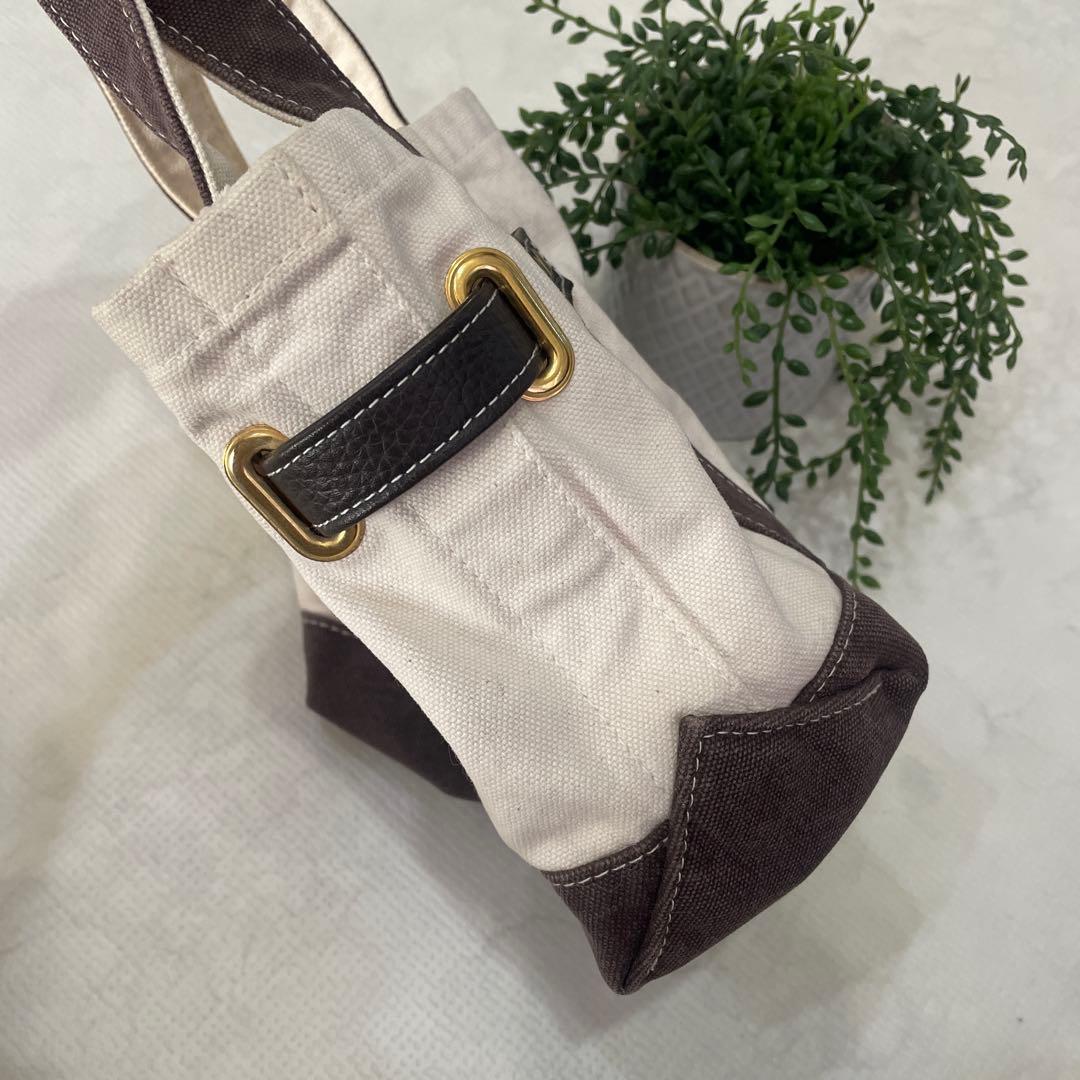 シータパランティカ　キャンバストートバッグXS