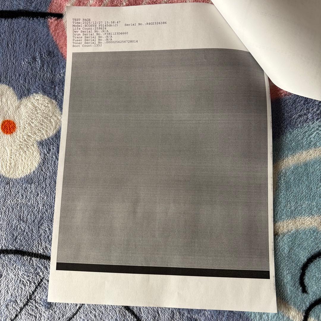 【美品】ECOSYS P3145dn