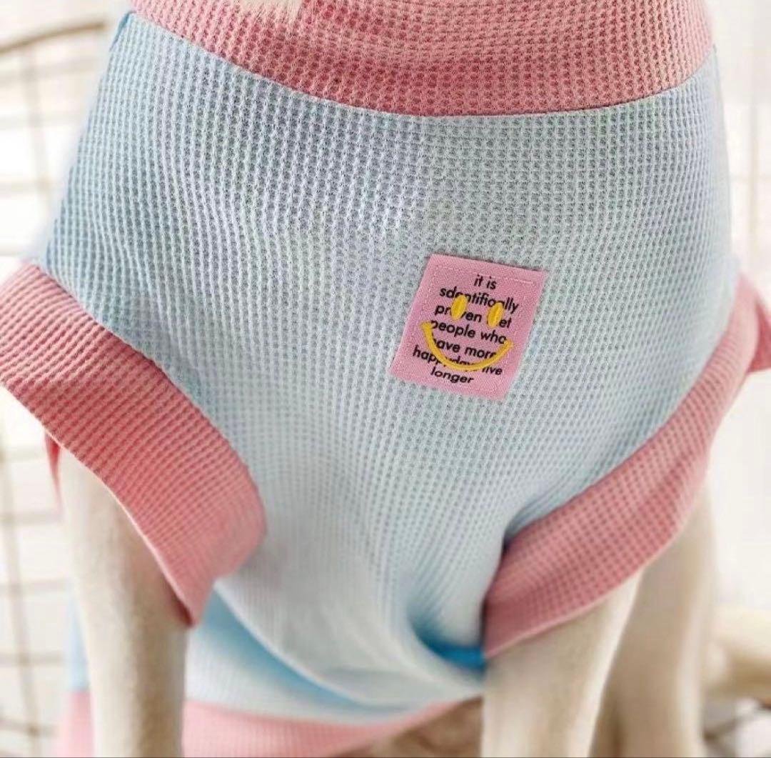 犬服2枚レインコート2枚