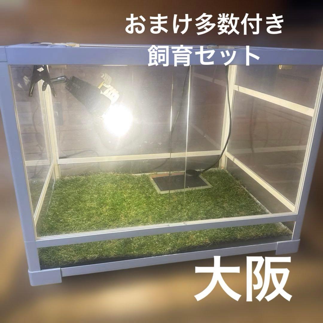 パンテオン6045 他飼育セット