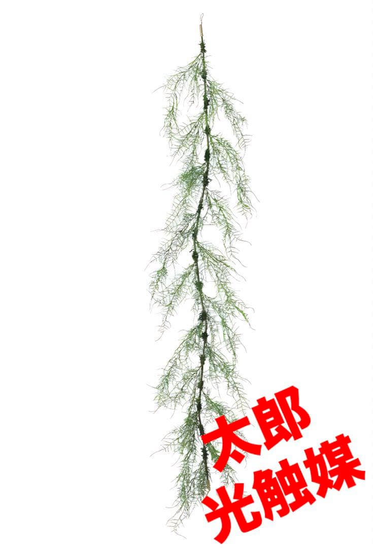 光触媒　人工観葉植物　ウォールグリーン　フェイクグリーン　アスパラガスガーランド