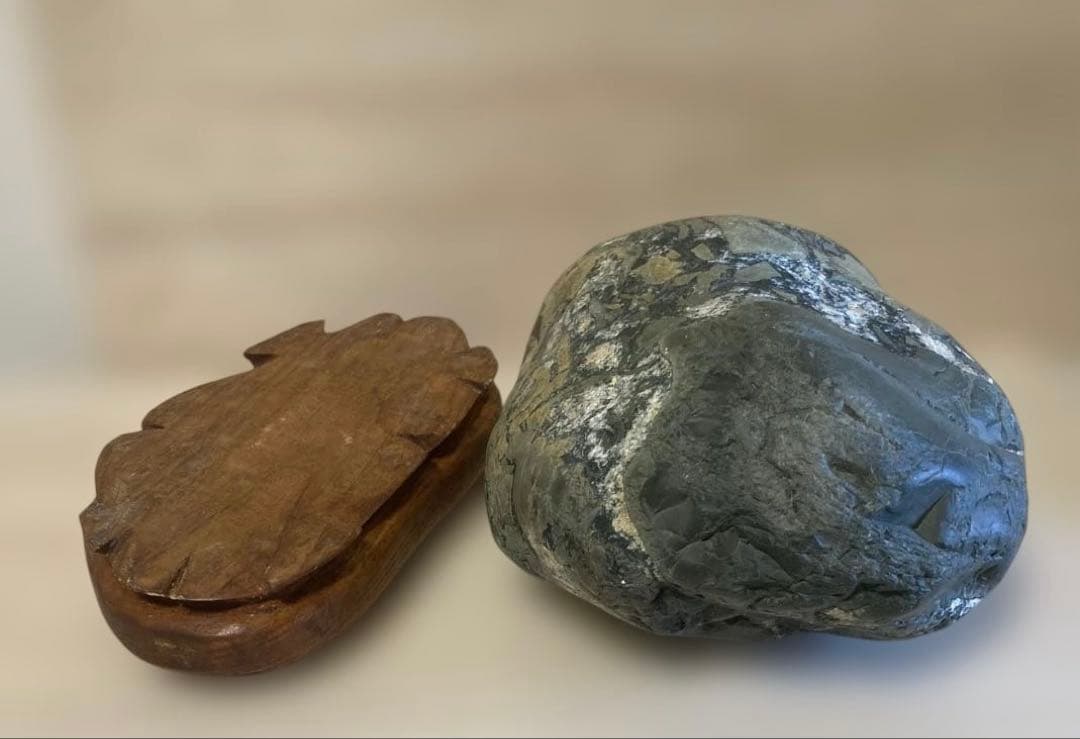 緑亀神　亀龍石　緑碧　嵐渓石　土岐石　出雲石　水石　鑑賞石　特大