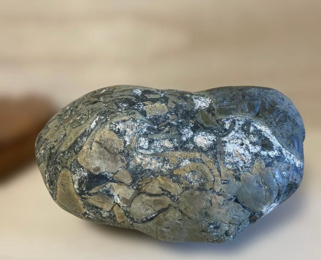 緑亀神　亀龍石　緑碧　嵐渓石　土岐石　出雲石　水石　鑑賞石　特大