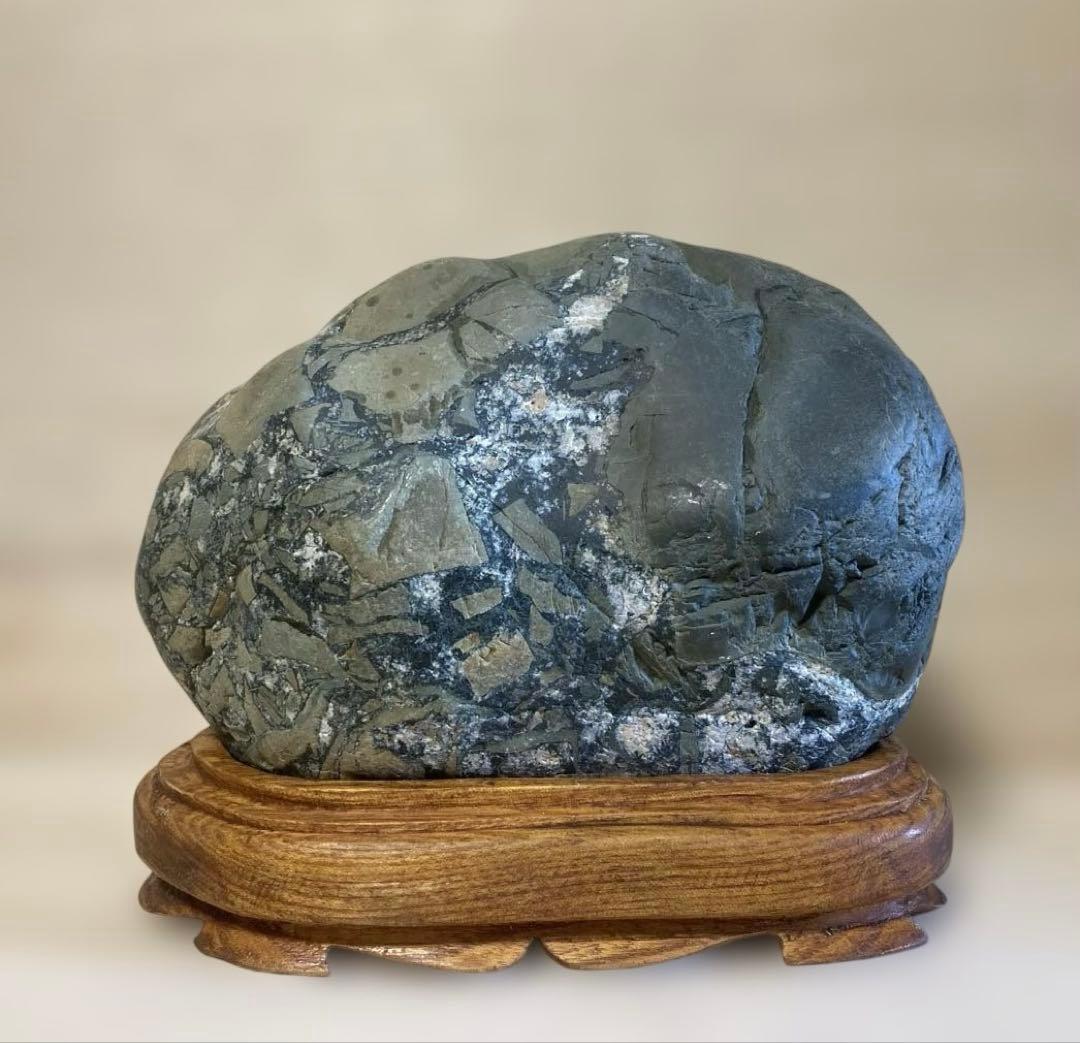 緑亀神　亀龍石　緑碧　嵐渓石　土岐石　出雲石　水石　鑑賞石　特大