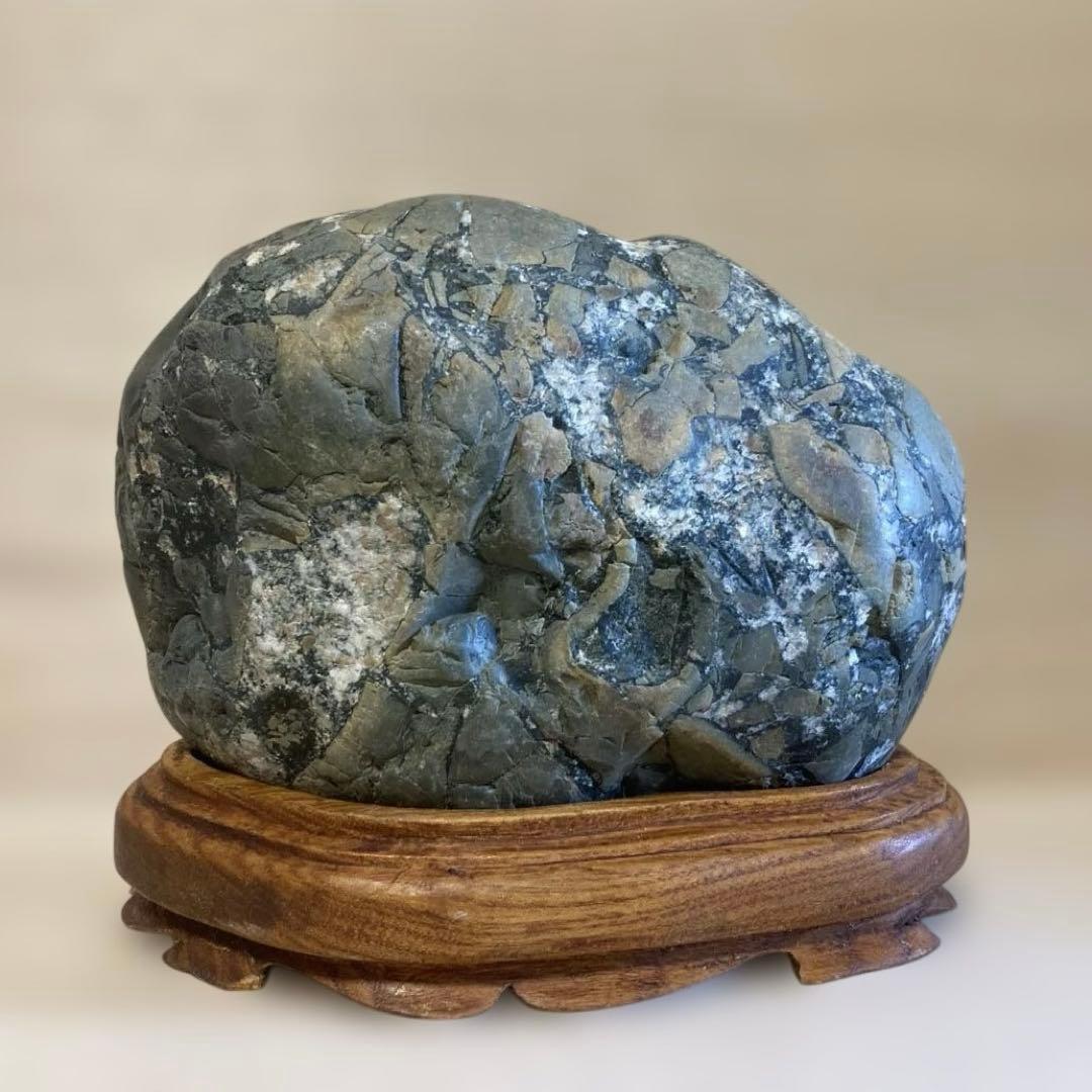 緑亀神　亀龍石　緑碧　嵐渓石　土岐石　出雲石　水石　鑑賞石　特大