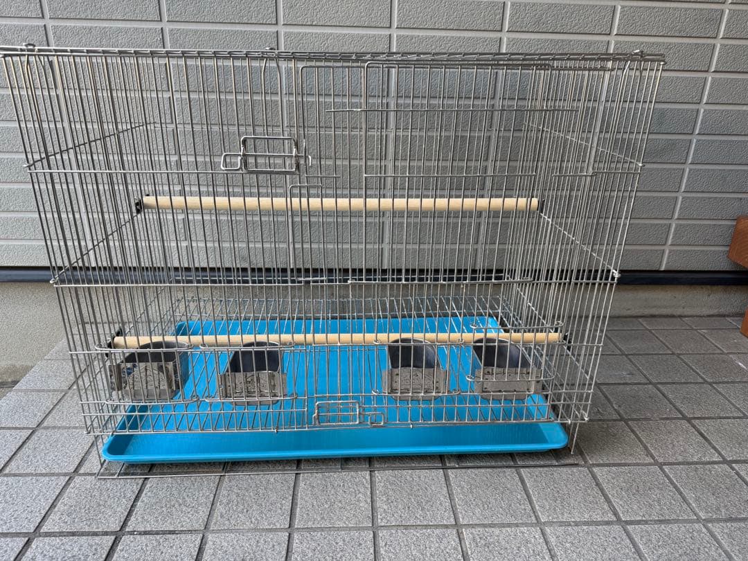 シルバー鳥かご 青い底トレイ付き