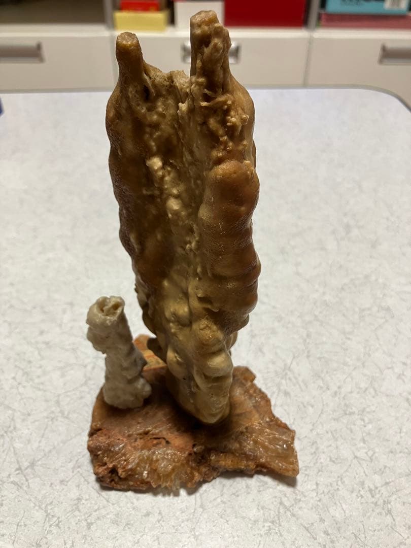 秋芳洞　鍾乳石