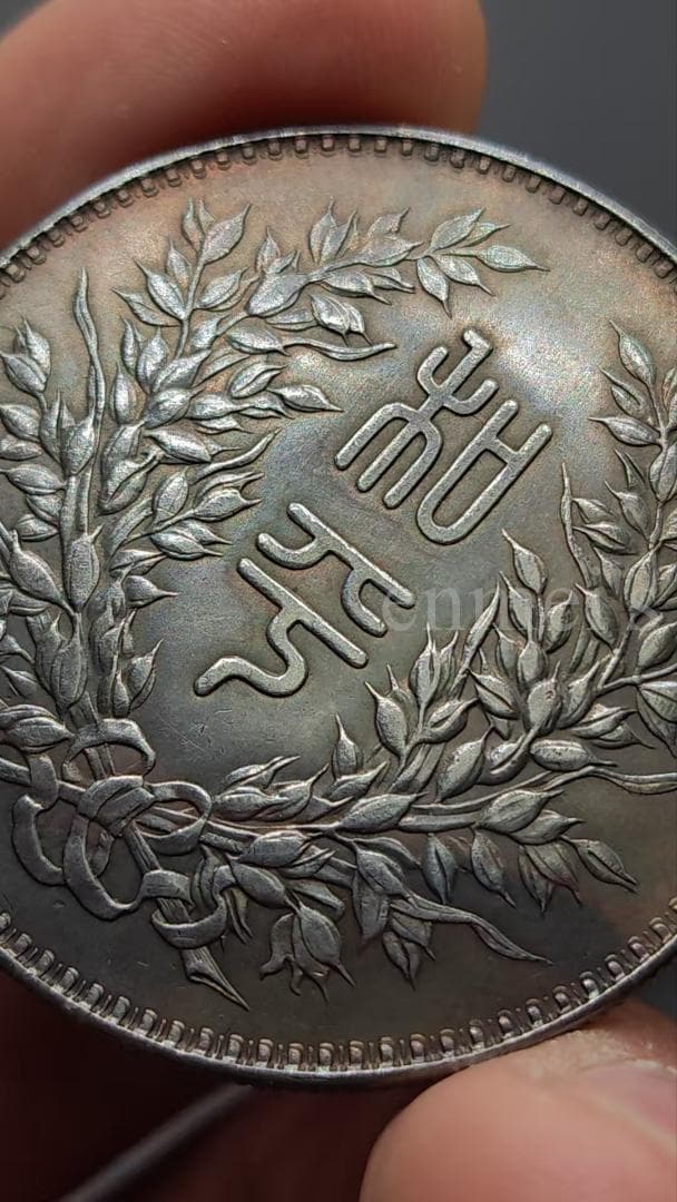 中華民国 段祺瑞 執政記念銀貨 銀元 古玩 純銀製（92銀）紀念幣・硬貨