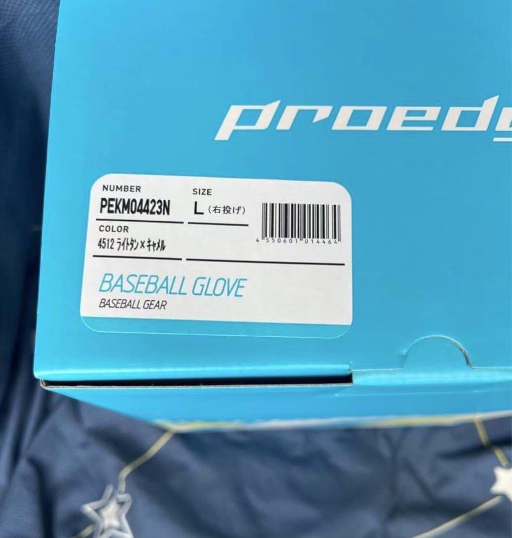 エスエスケイ(ssk) 一般硬式野球 プロエッジ 捕手用 (23aw)