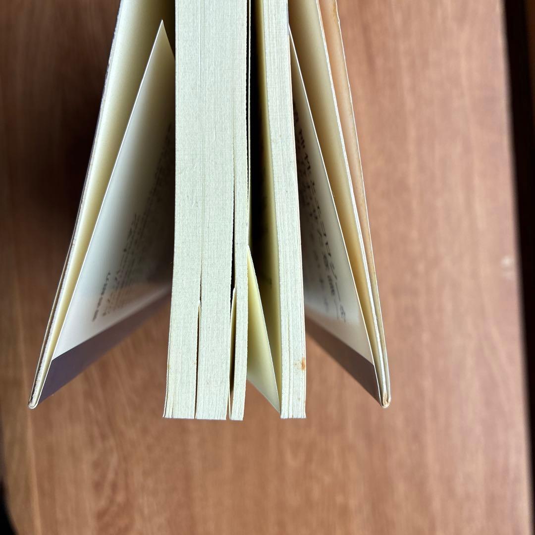 ウエティコ神の目を見よ 古代太陽の終焉と未来