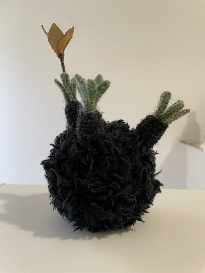 ガング　miamaua ミアマウモンスターズ　グラキリス