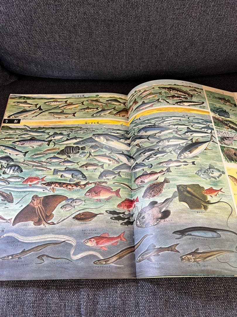 平凡社 えほん百科 全12巻セット　1964年発行 昭和43年7刷 絵本　児童書