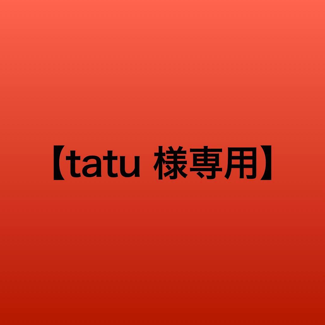セキュリティ・セーフティ tatu