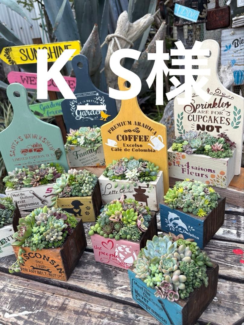 K_S様 多肉植物の寄せ植え各種➕木箱