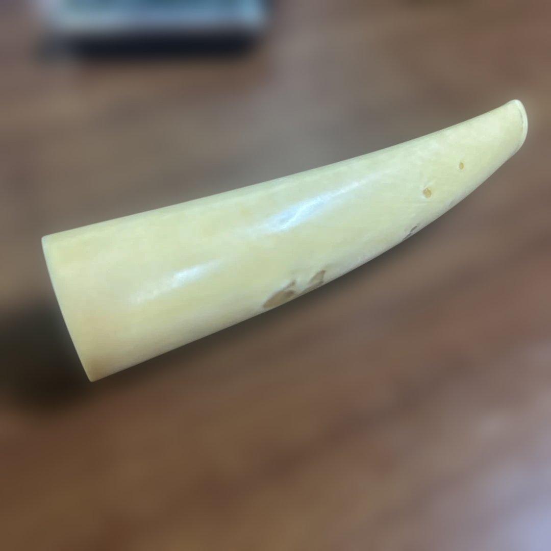 鯨歯　パイプ　キセル　53.50g 未使用品