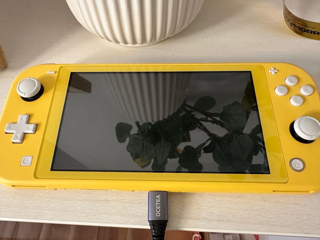 Nintendo Switch switchLight