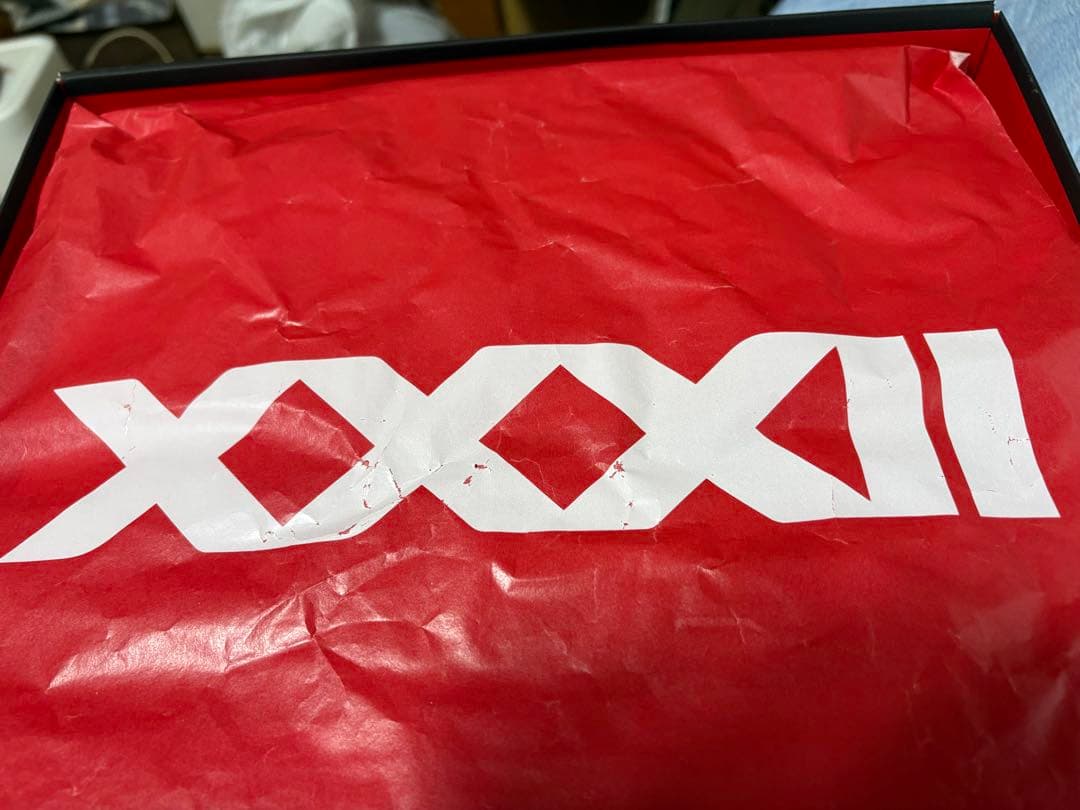 AIR JORDAN XXXII PF US10.5 28.5cmブルー