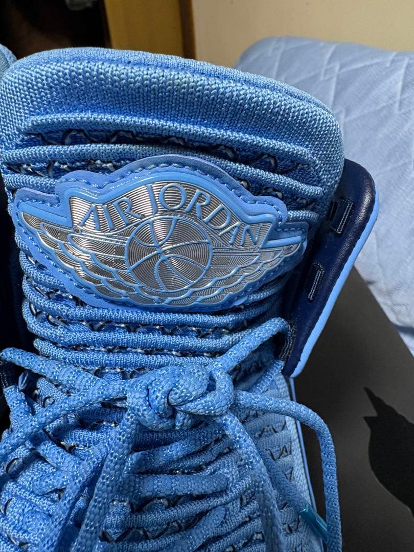 AIR JORDAN XXXII PF US10.5 28.5cmブルー