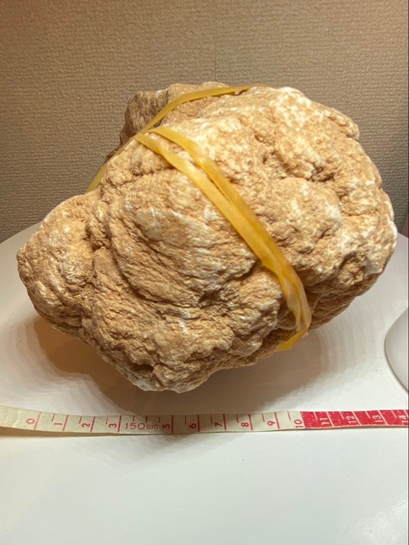 じゅん　ジオード、セレスタイトセット　巨大　天然石　原石　パワーストーン