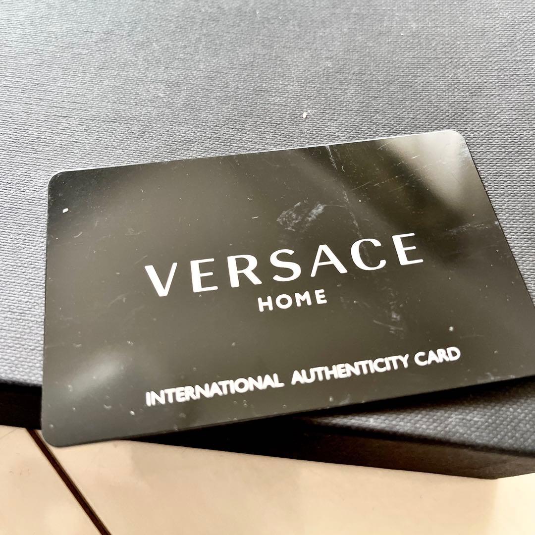 VERSACE gorgona メデューサ アッシュトレイ ローゼンタール