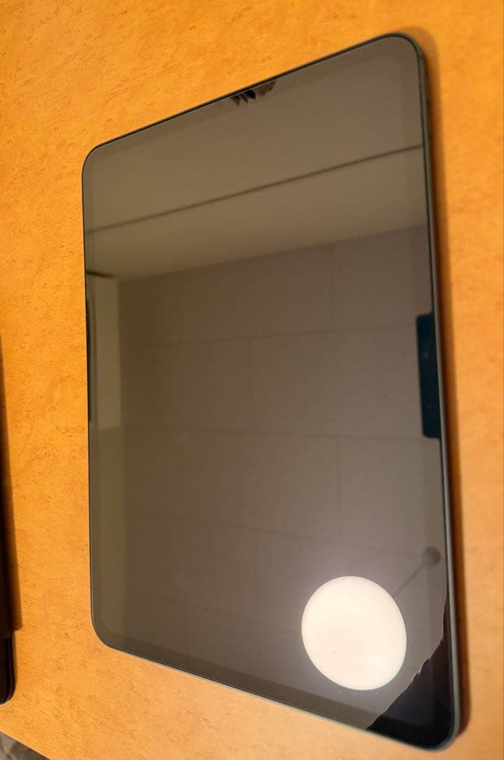 親*方様 美品 iPad Pro M4 11inch 256GB Wi-Fiモデ