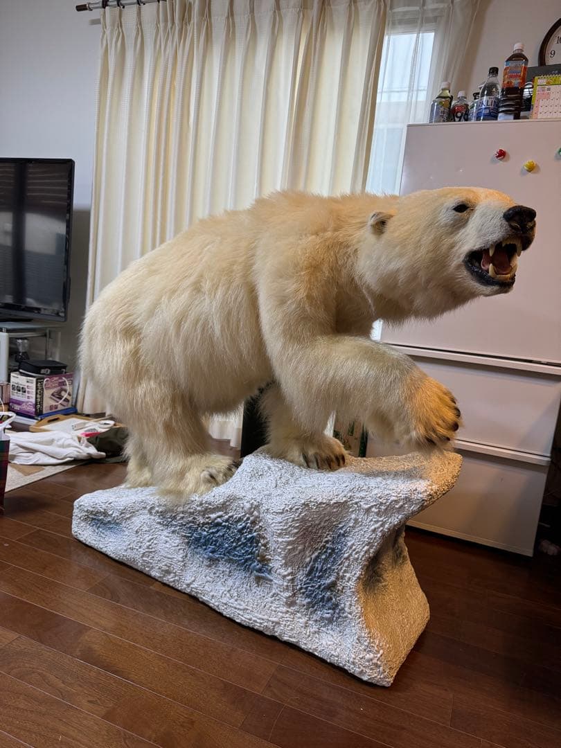 白熊剥製レプリカ