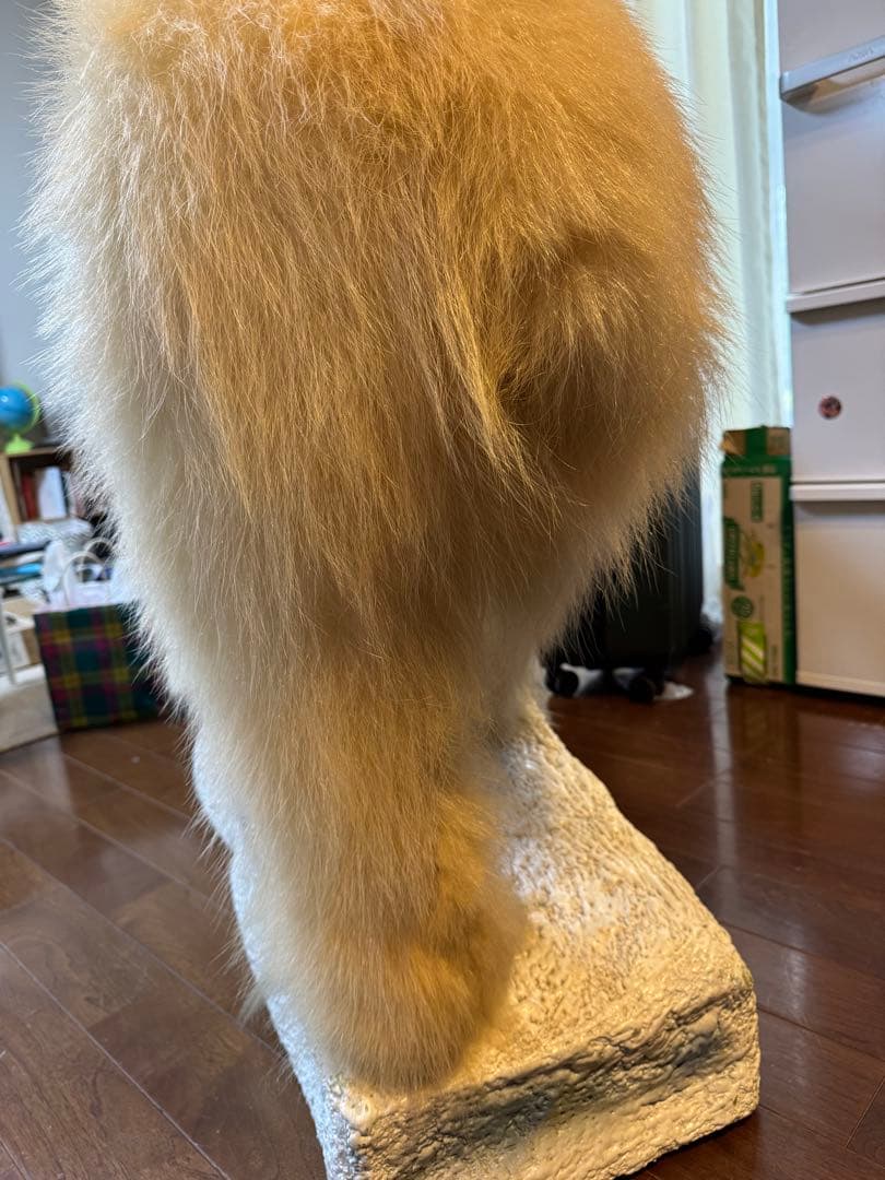 白熊剥製レプリカ