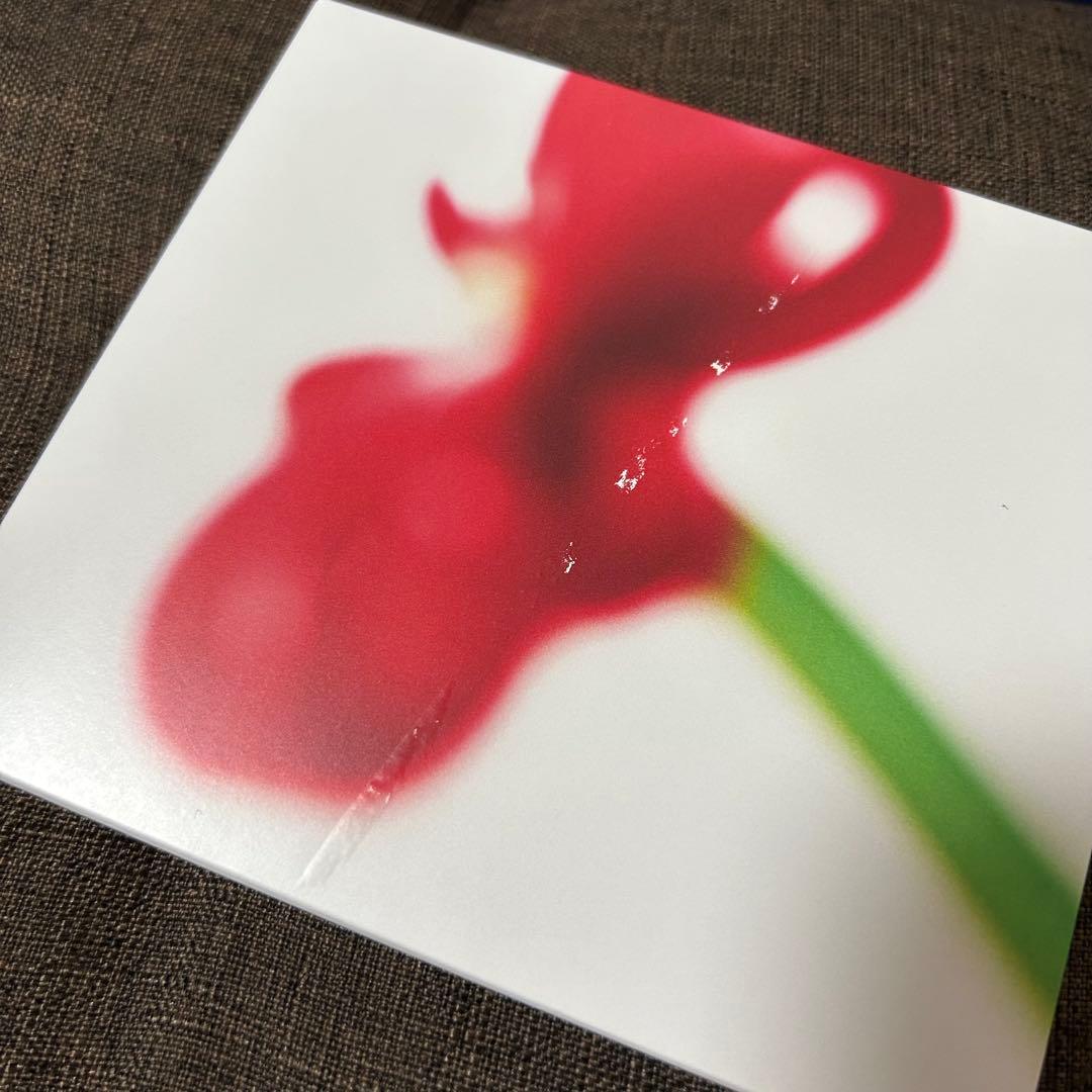 マカロニえんぴつ　アルバム　CD まとめ売り　クリアファイル付き