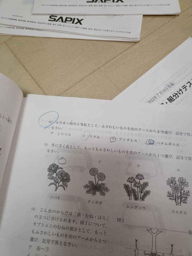 SAPIX 4年生 定期テスト