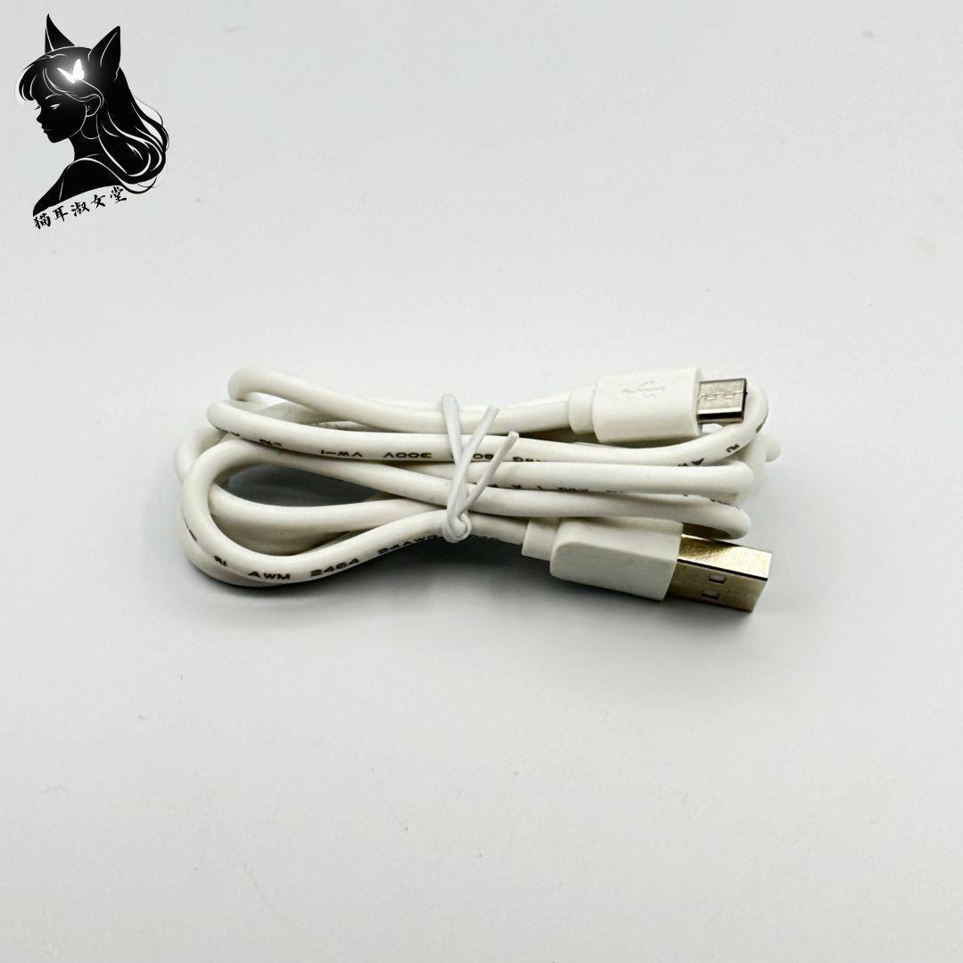 LLADRÓ リヤドロ Ice Cream アイス クリーム テーブルランプ