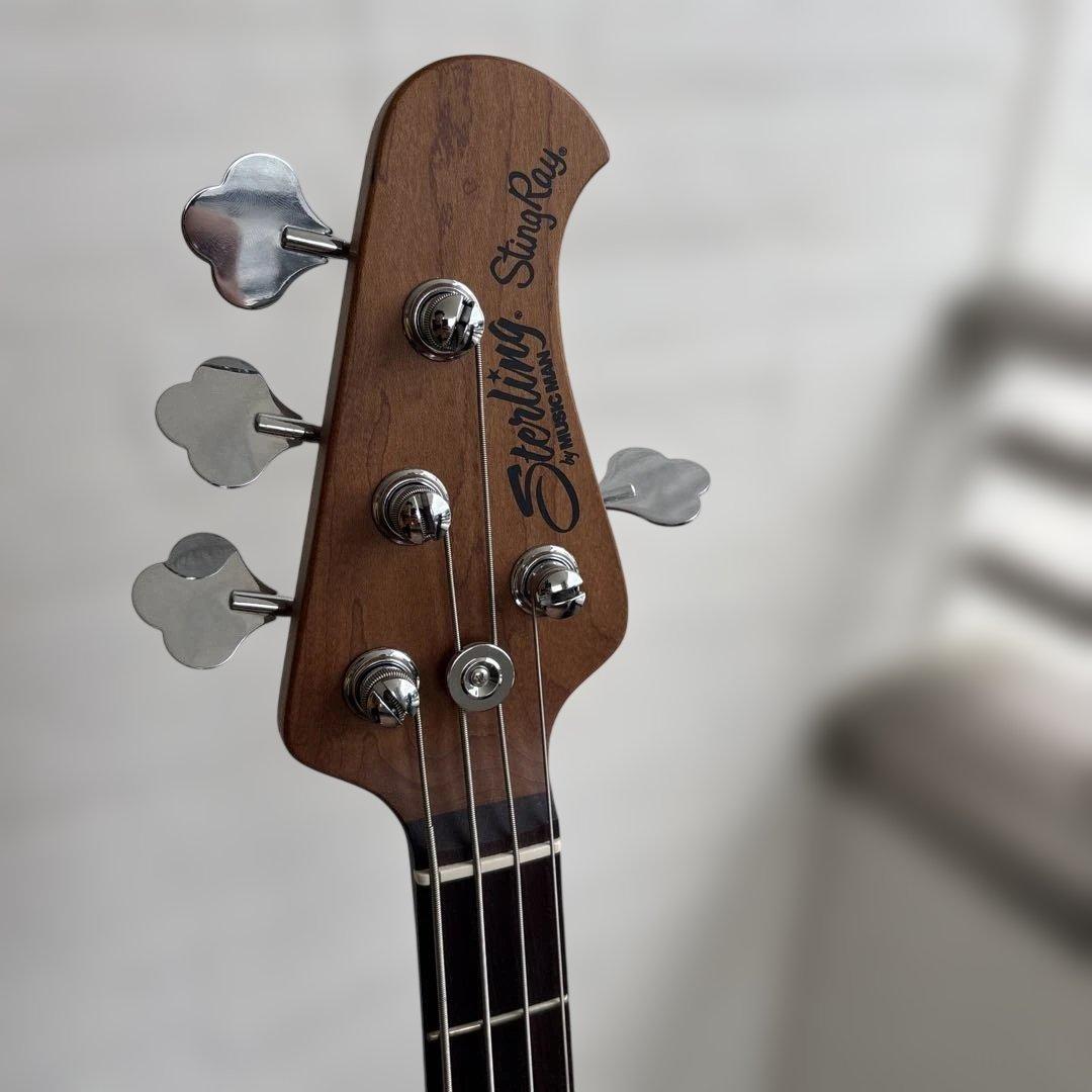 sterling RAY34 スターリン　ミュージックマン　スティングレイ