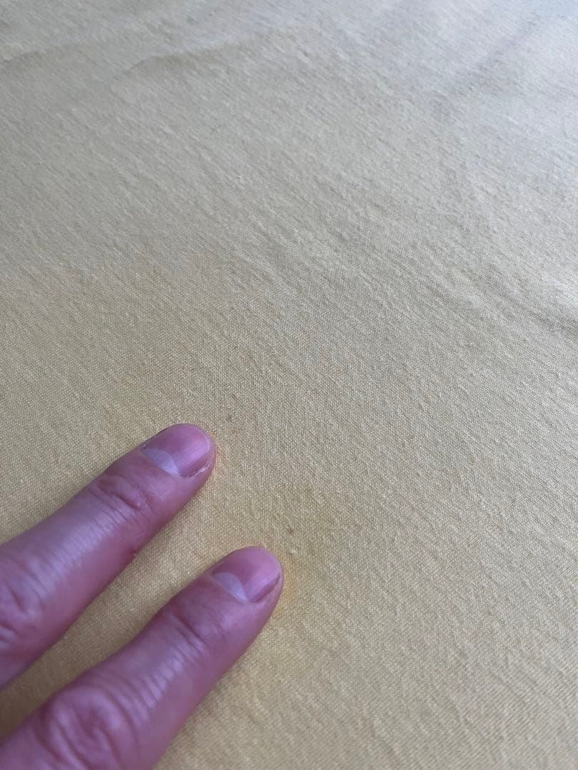 N*O様 北尾光司　プロレス　Tシャツ 90s ビンテージ　シングルステッチ　横