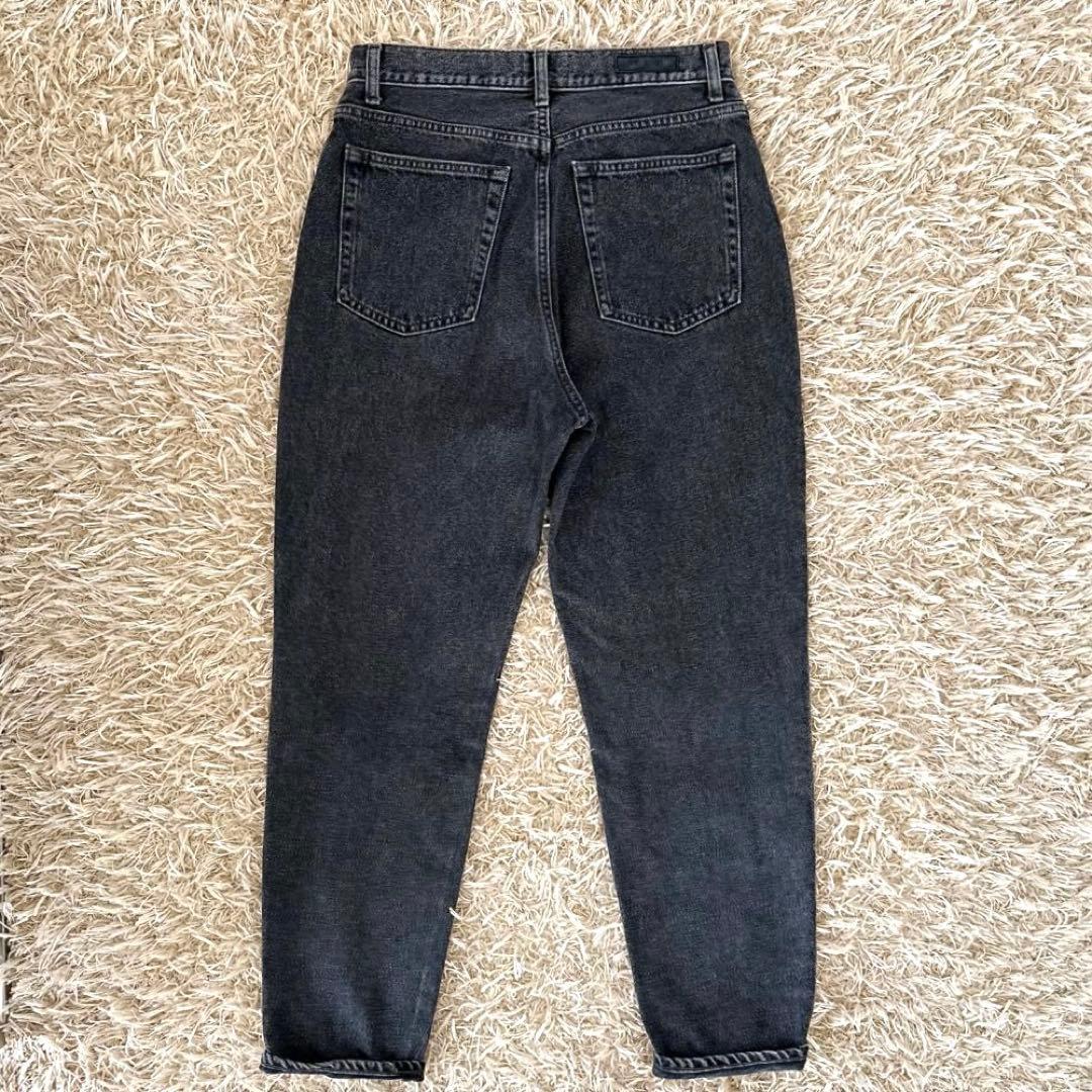 THE SHISHIKUI シシクイ EASY DENIMデニム ブラック 36