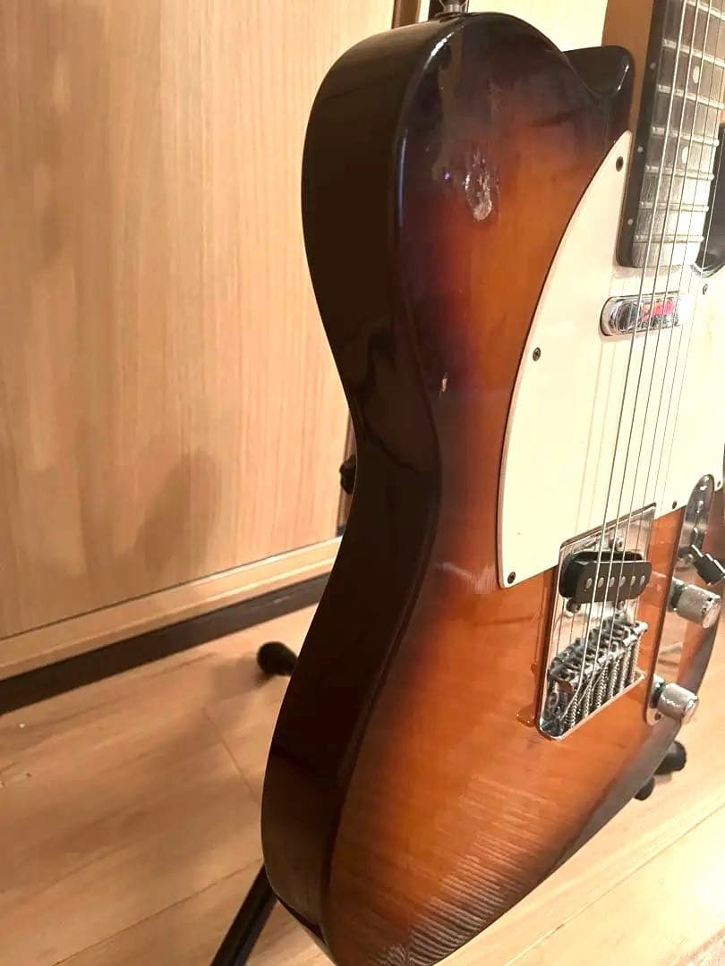 Samick（サミック） テレキャスタータイプ ギター ケース付き