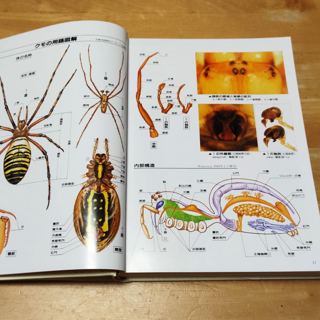 【初版本】 写真・日本クモ類大図鑑 千国安之輔著 偕成社 1989年発行
