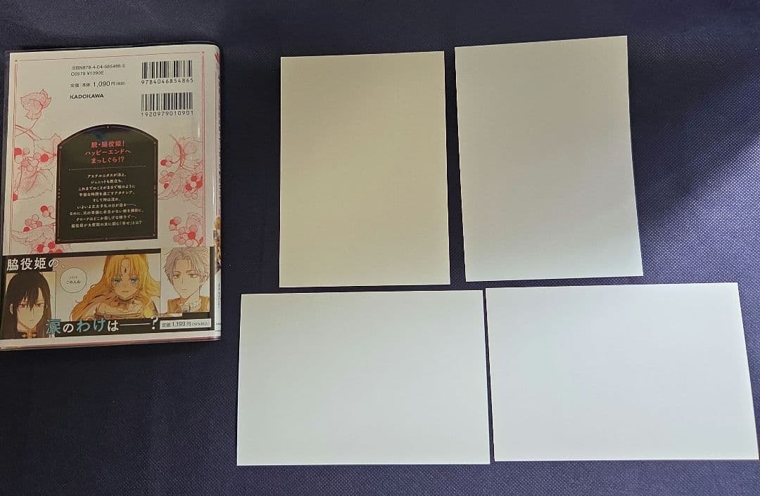 ある日、お姫様になってしまった件について　全13巻