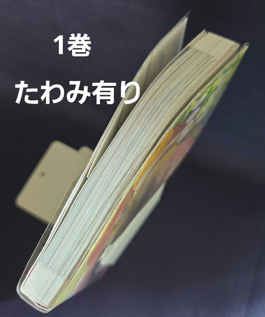 ある日、お姫様になってしまった件について　全13巻