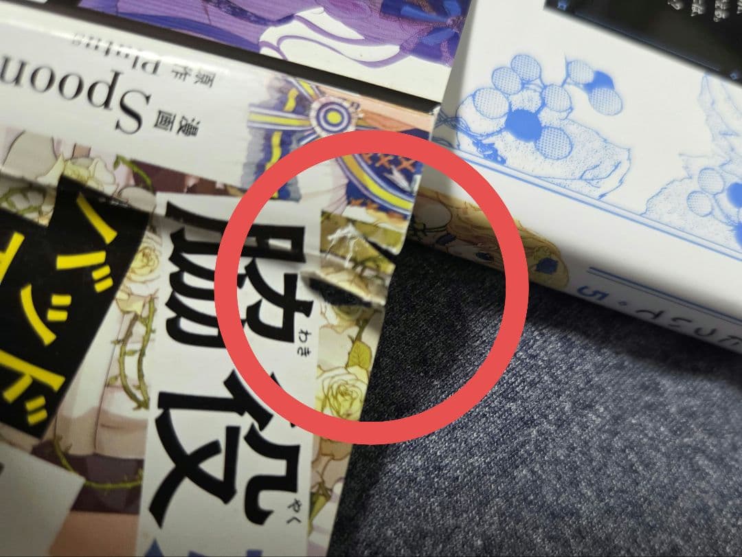ある日、お姫様になってしまった件について　全13巻